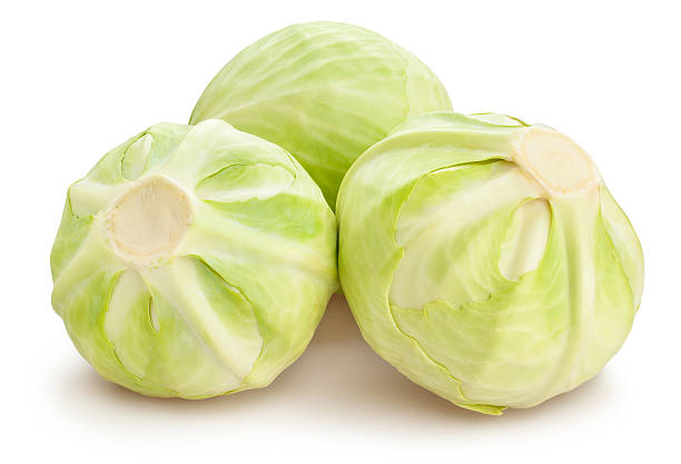 4 Cabbage 1,700+ Cabbage 3 Stock Photos, Pictures & Royalty-Free Images - iStock