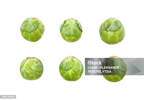 Brussel Sprouts Stock Photo - Download Image Now - Brussels Sprout, White Background, Cut Out