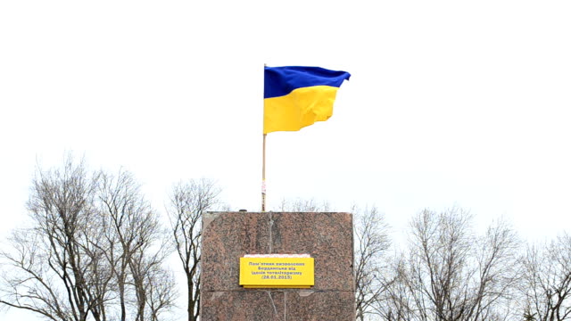 Ukrainian flag