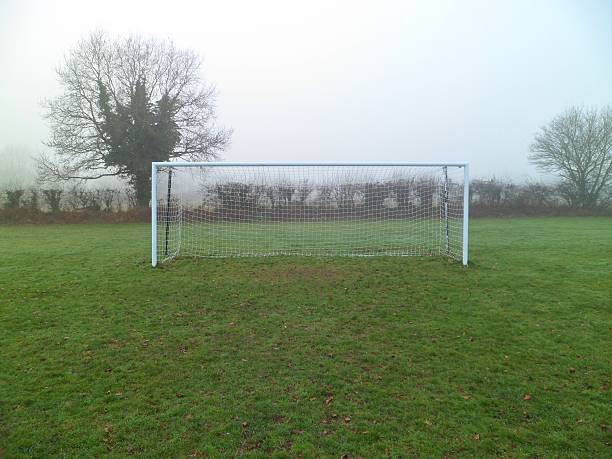 草の根アマチュアサッカーの目標とネット - soccer man made material goal post grass ストックフォトと画像