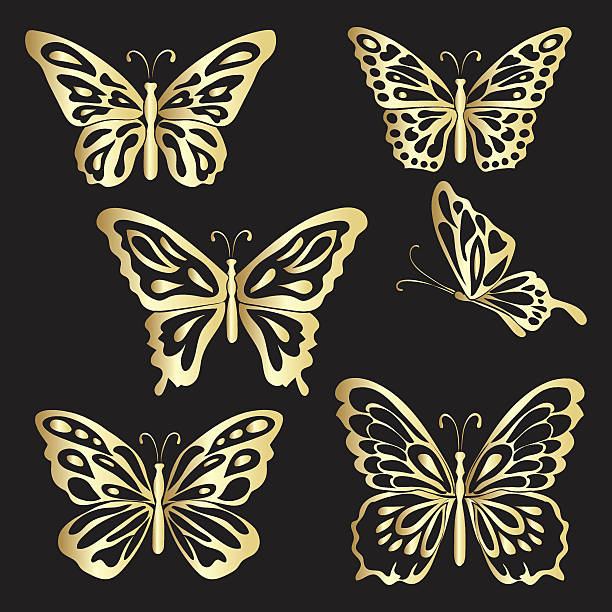 Gold Lace butterfly on black background Gold Lace butterfly on black background. Vector illustration. gold metal silhouettes stock illustrations