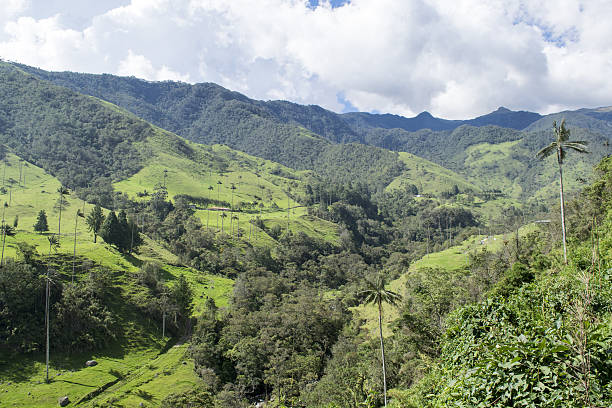 istock Snow-capped mountains of Colombia 636741790