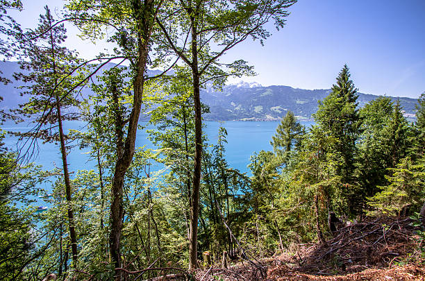 istock Lake Brienz, Switzerland 636742042
