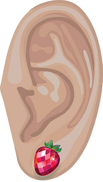 Human ear & earring Human ear with framed earring front view, vector illustration isolated on white background chandler strawberry stock illustrations