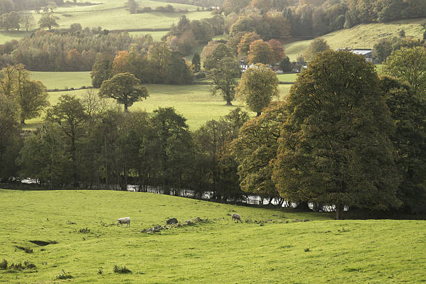 istock Stunning Autumn Fall landscape image of wide countryside 636743672