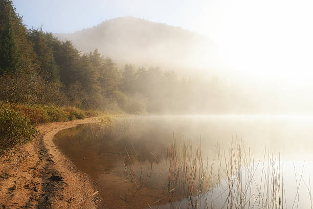 Lake Monroe at sunrise, Mont Tremblant National Park, Quebec, Canada