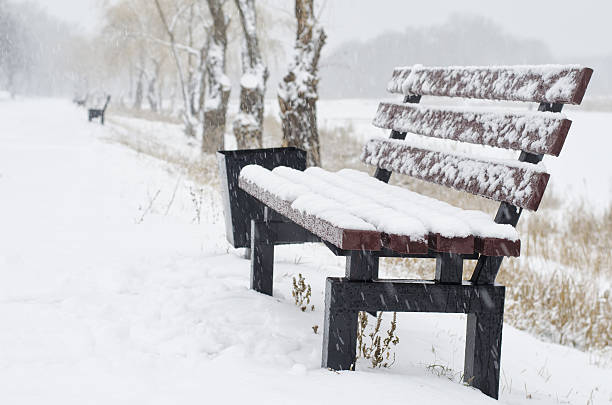 istock bench in Central Park covered with snow 636750012