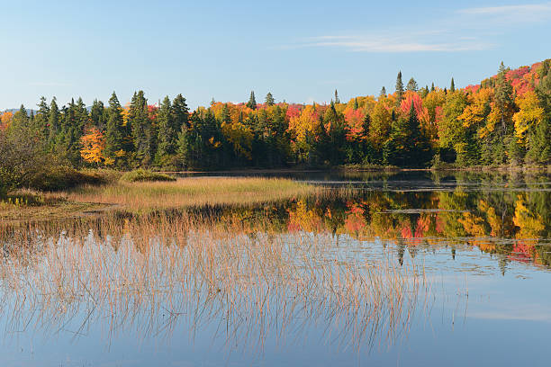 istock Lake Monroe in Mont Tremblant National Park 636751026