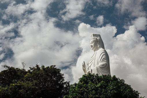 Statue of white Buddha surrounded by trees against the sky, asia, nice view.