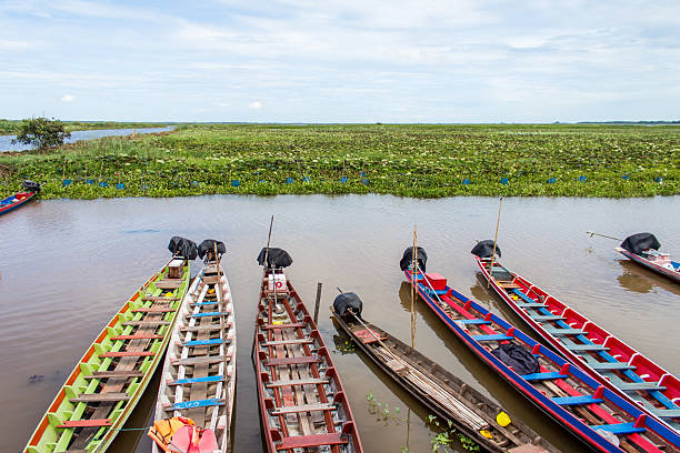 Long tail boat parking at Thale Noi Waterbird Sanctuary