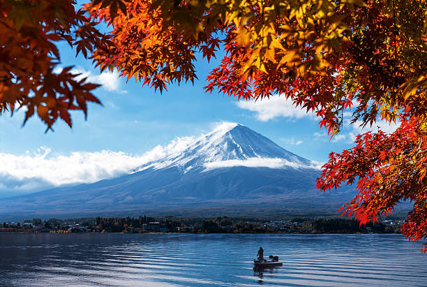 Mt Fuji in autumn view from lake Kawaguchiko Mt Fuji in autumn view from lake Kawaguchiko. Red maple leaves in Fuji. Autumn foliage around mount Fuji, Japan. View of morning sunrise of Fuji mountain. City around Fuji and lake Kawaguchiko. mt. fuji photos stock pictures, royalty-free photos & images