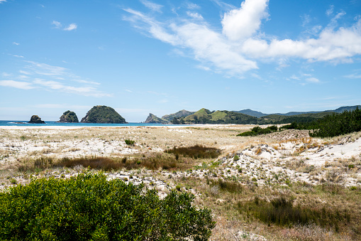 The idyllic Kaitoke Beach of Great Barrier Island's East coast. New Zealand