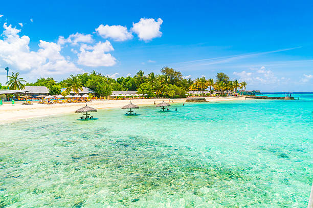 istock White sand beach in Maldives 636765872