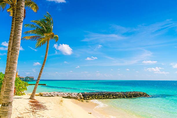 istock White sand beach in Maldives 636766808