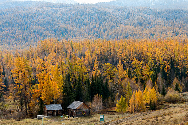 istock Kanas Mountain View ,  Xinjiang, China 636769914