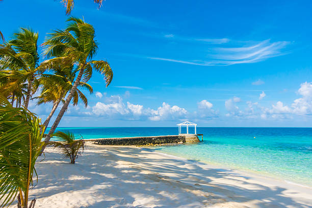 istock White sand beach in Maldives 636771526