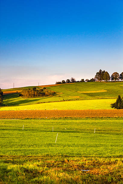istock Cultivated fields in autumn. Beskid Mountains, Poland. 636775726