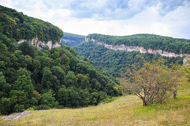 istock Mountain landscape with snow and forest 636783190