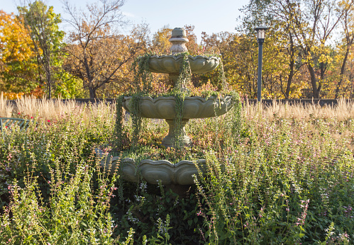 An over grown fountain in Minnehaha Park in Minneapolis, Minnesota.
