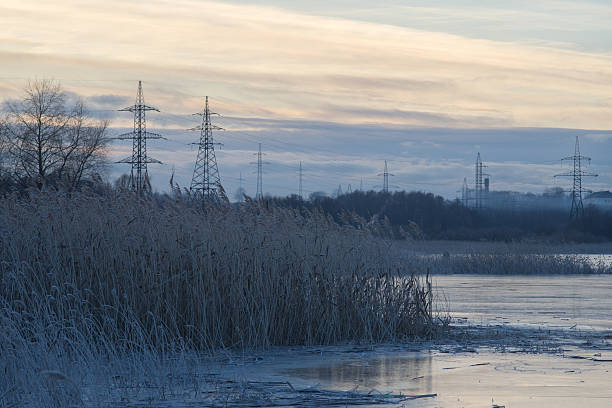 istock Frozen lakeside with reed covered by hoarfrost 636785764