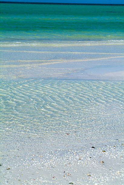 istock The tropical beach of Holbox 636785878