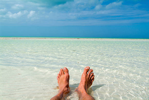 istock The tropical beach of Holbox 636785938