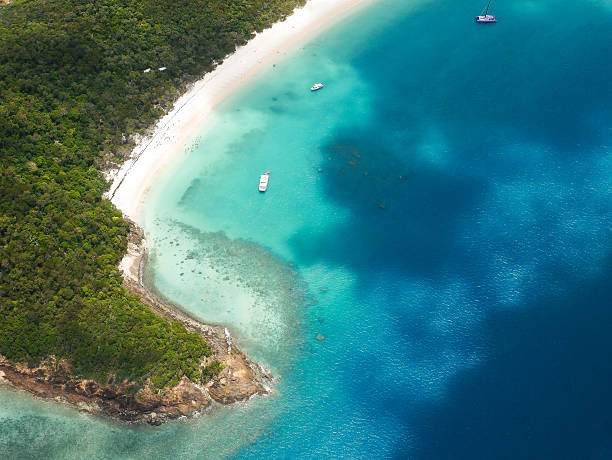 istock Whitehaven Beach - Great Barrier Reef Australia 636786054