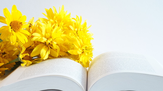 Bouquet of yellow flowers and the book are isolated on a white background