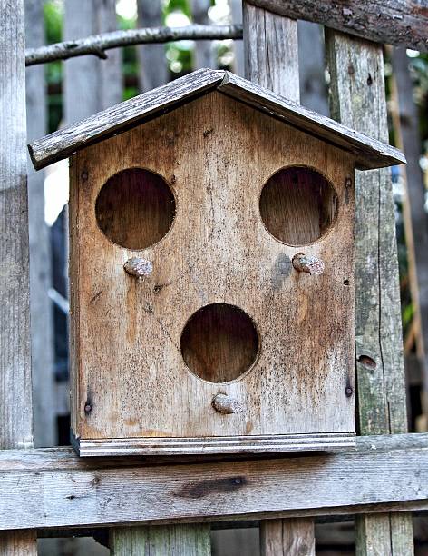 istock Bird nest wooden house 636793410