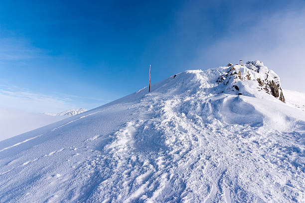 istock Winter landscape in the Tatra Mountains 636794150