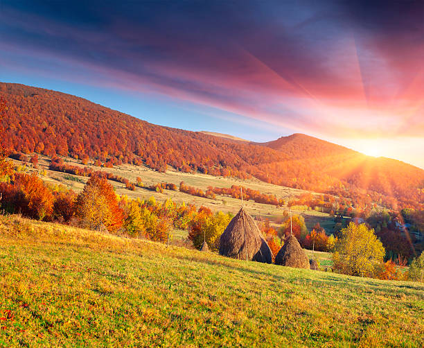 istock Colorful autumn landscape in the Carpathian mountains 636794568