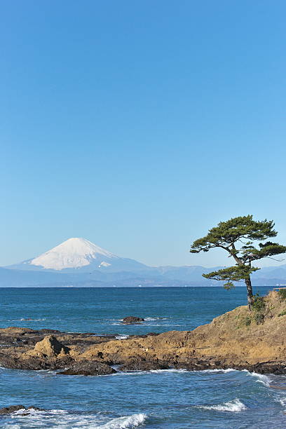istock Mount Fuji which I watched from tateishikouen 636795364