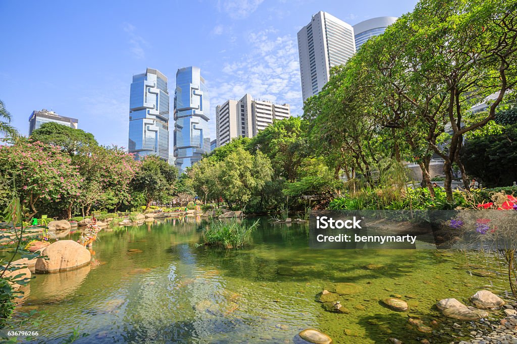 Hong Kong Park Central Beautiful view of pond at the lush Hong Kong Park surrounded by skyscrapers in the Central business district in Hong Kong island. Sunny day with blue sky. Environmental Conservation Stock Photo
