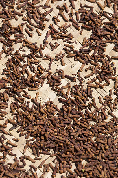 istock drying flower buds from clove spice 636798040