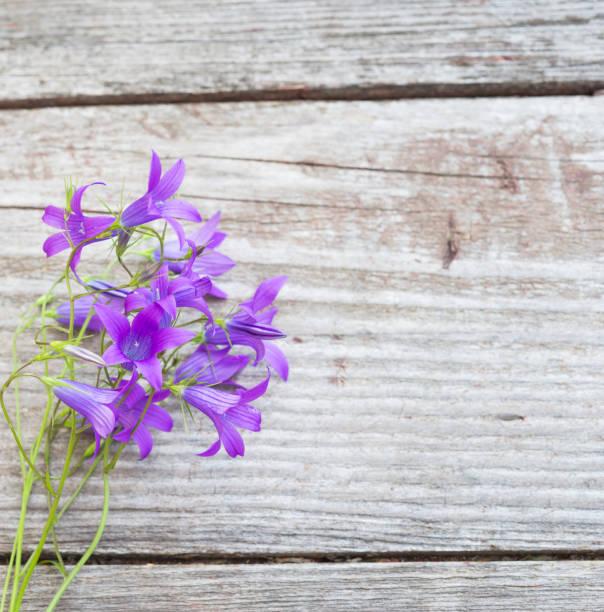 istock Bluebells on old wooden table. Vintage floral background. 636798068