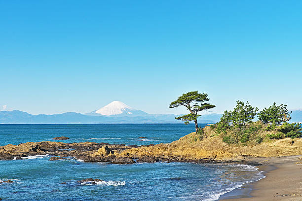 istock Mount Fuji which I watched from tateishikouen 636798326