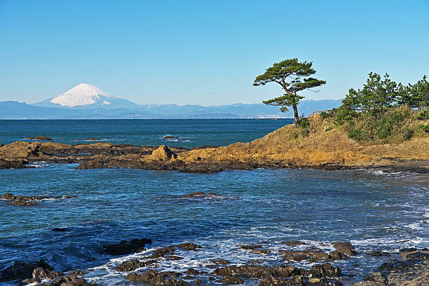 istock Mount Fuji which I watched from tateishikouen 636798362