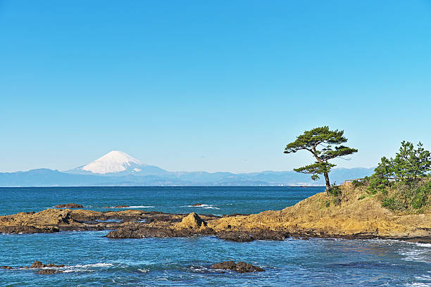 istock Mount Fuji which I watched from tateishikouen 636798430