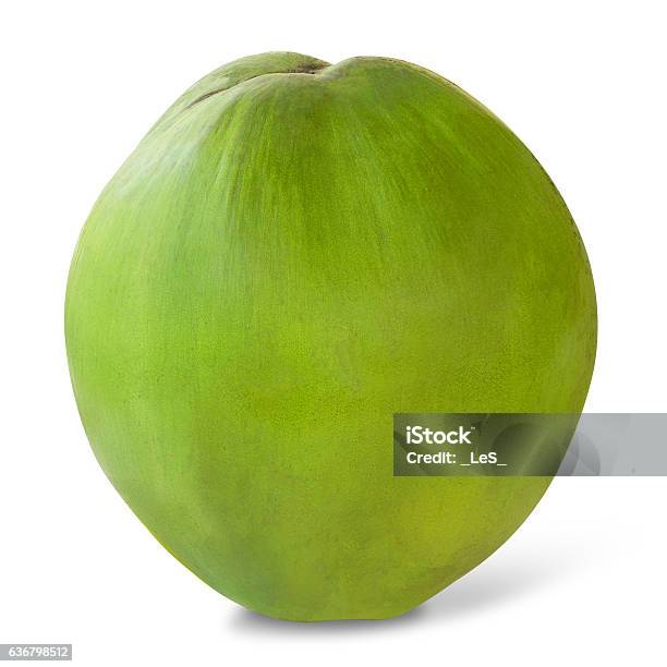 Coconut Stock Photo - Download Image Now - Coconut, Green Color, Coconut Palm Tree