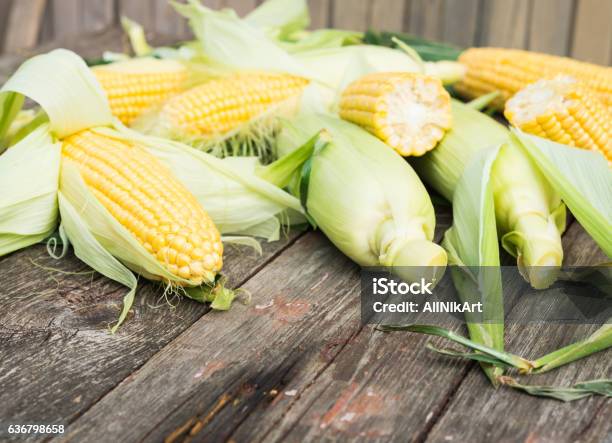 Maize Fresh Corn On Wooden Table Stock Photo - Download Image Now - Cereal Plant, Corn, Corn - Crop