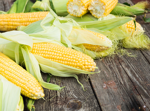 Maize. Fresh Corn on wooden table