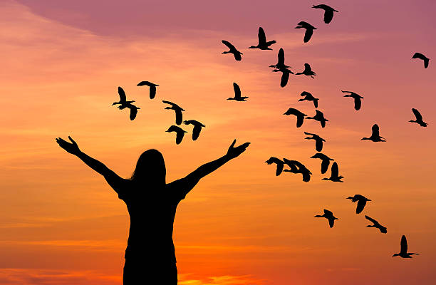 istock silhouette woman raised up hands during flock lesser whistling flying 636800612
