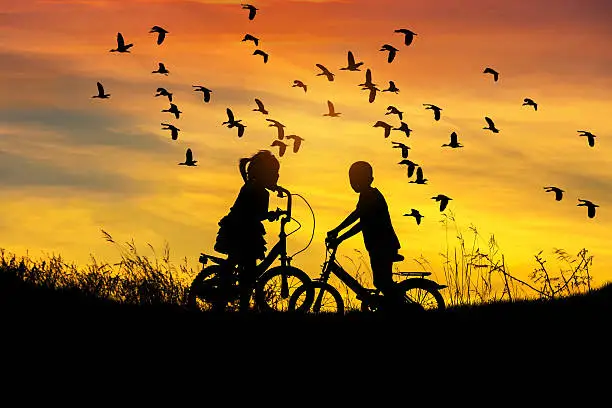    silhouette little boy and little girl riding bike look to flock of lesser whistling duck (Dendrocygna javanica) or lesser whistling teal or indian whistling duck flying on sunset