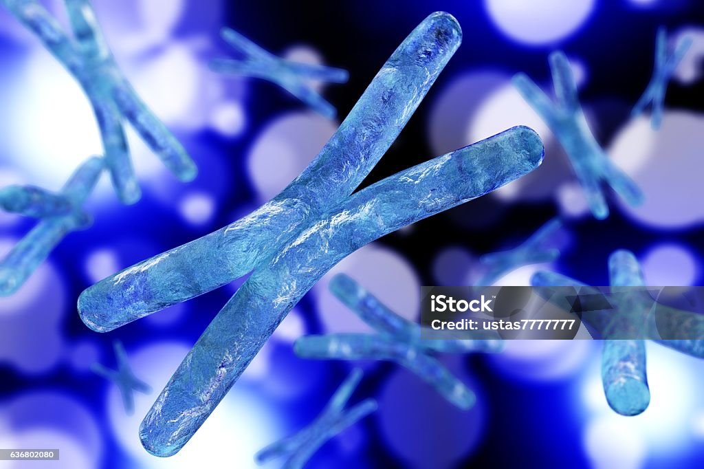 Chromosome. Biochemistry Stock Photo