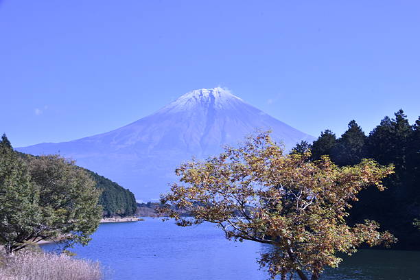 istock Mt. Fuji and lake 636802846