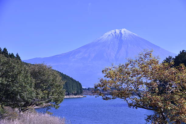 istock Mt. Fuji and lake 636803238