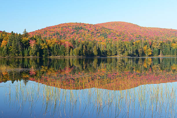 istock Mont Tremblant National Park in Autumn 636810164