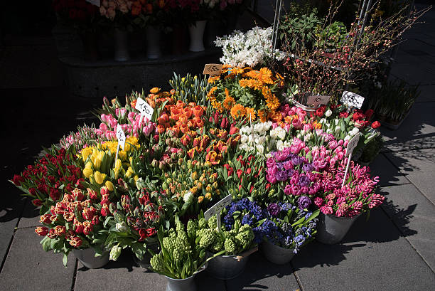istock Flowers on the Street 636811086