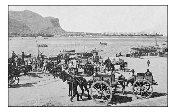 Antique dotprinted photographs of Italy: Sicily, Palermo Antique dotprinted photographs of Italy: Sicily, Palermo horse cart photos stock illustrations