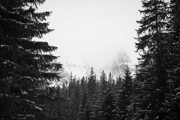 istock Mountains - Zakopane in the winter - monochrome 636813402